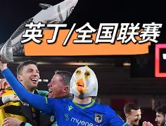 九游网页官网-欧国联赛2021